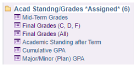 Acad Standing/Grades snip