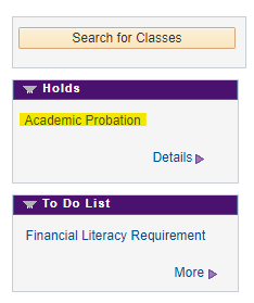 Student Center Academic Standing Example