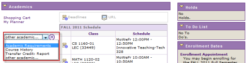 Advisement Report